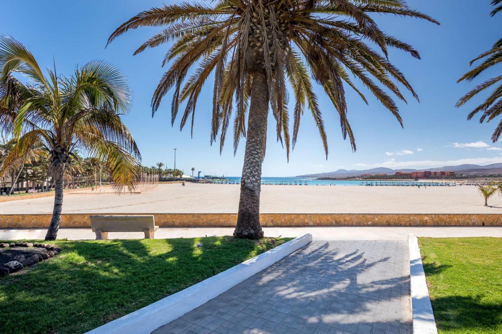 Barceló Fuerteventura Castillo Caleta De Fuste Exterior foto